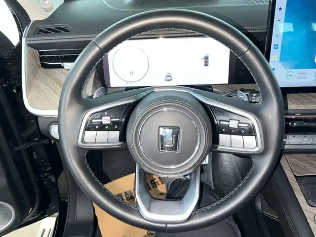 Tank Tank 500 2023 3.0T Sport Edition (5-seater) — Фото автомобиля 11