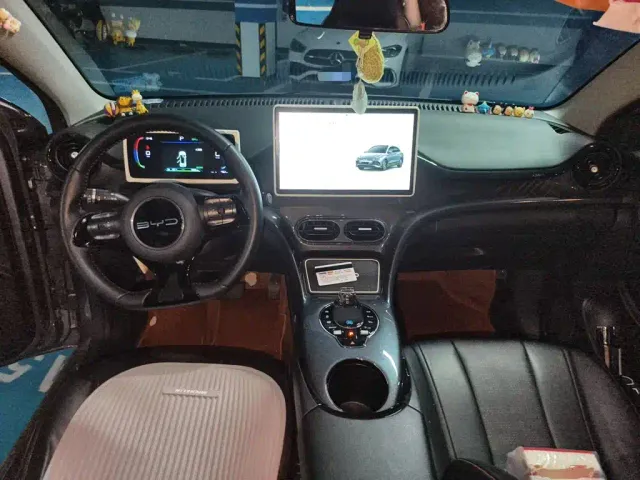 BYD e2 — Фото автомобиля 10