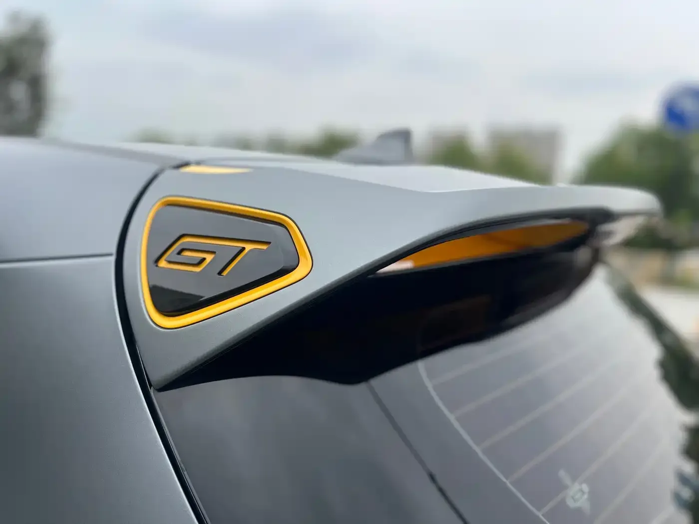 Ora Ora Good Cat GT 2023 Mulan Edition 401km Honor Model — Фото автомобиля 11