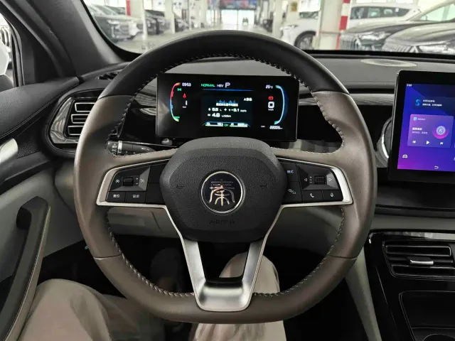 BYD Qin PLUS — Фото автомобиля 18