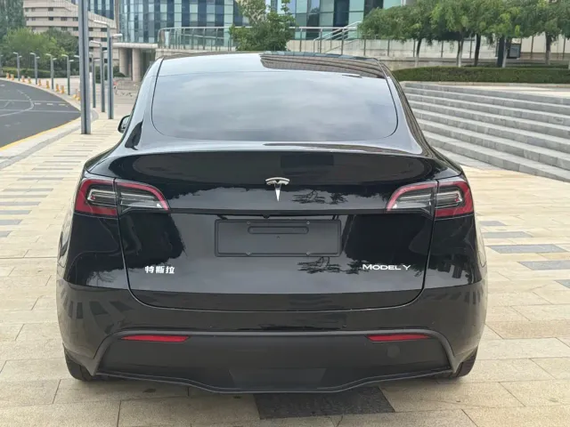 Tesla Model Y — Фото автомобиля 5