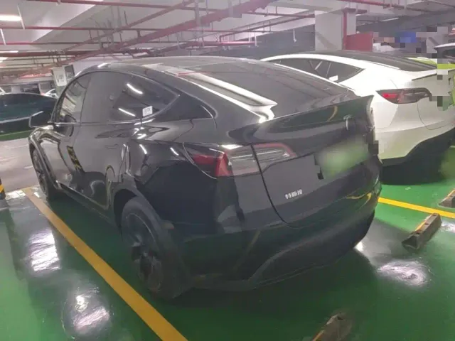 Tesla Model Y — Фото автомобиля 4