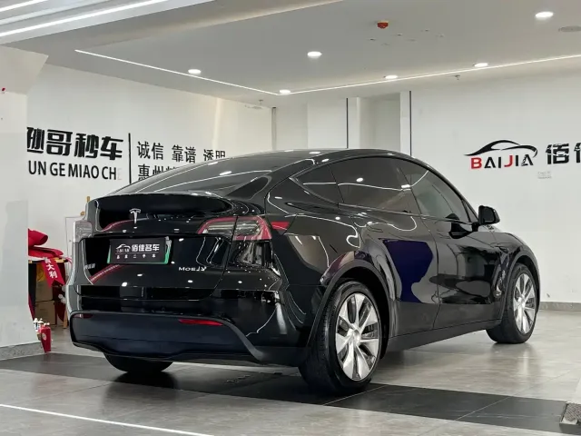 Tesla Model Y — Фото автомобиля 4
