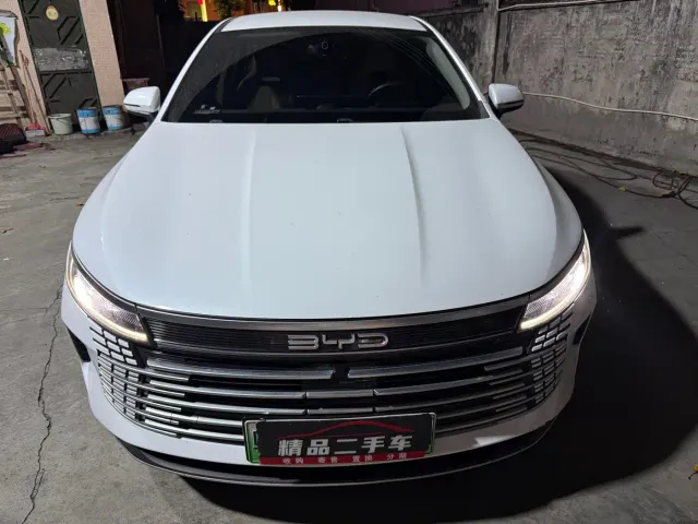 BYD Destroyer 05 — Фото автомобиля 2