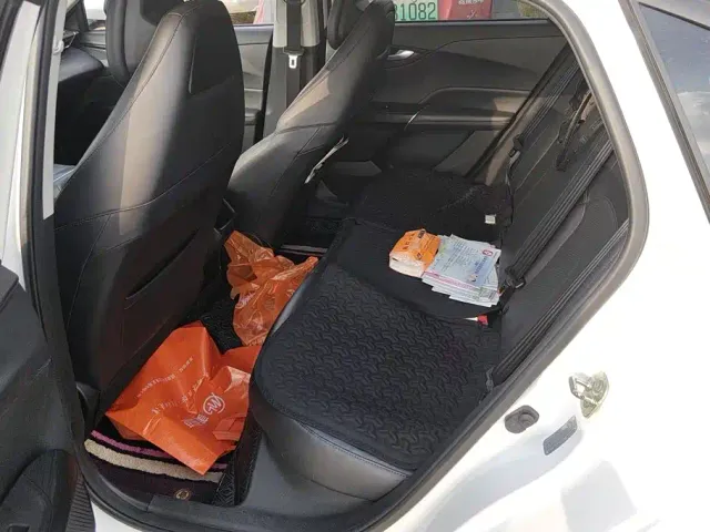 Changan Lamore — Фото автомобиля 11