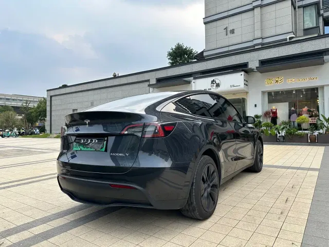 Tesla Model Y — Фото автомобиля 11