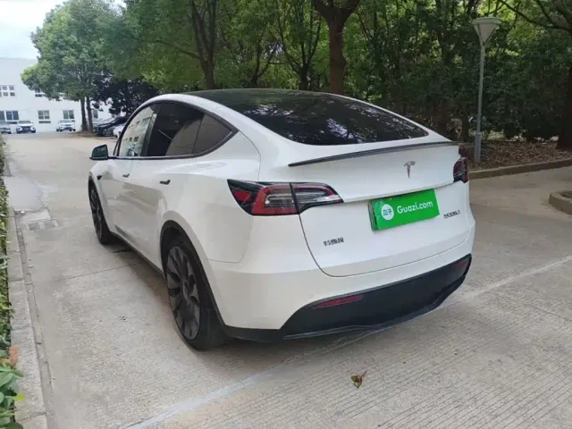 Tesla Model Y 2021 Performance High-Performance AWD — Фото автомобиля 4