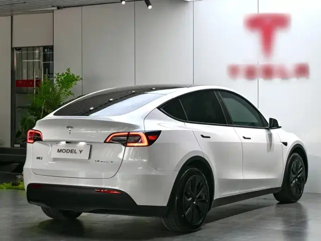 Tesla Model Y — Фото автомобиля 6