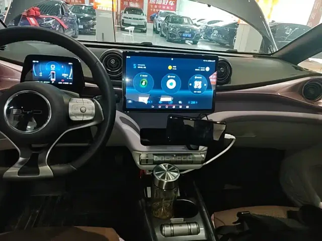 BYD Dolphin — Фото автомобиля 12