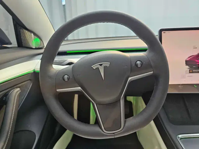 Tesla Model 3 — Фото автомобиля 10