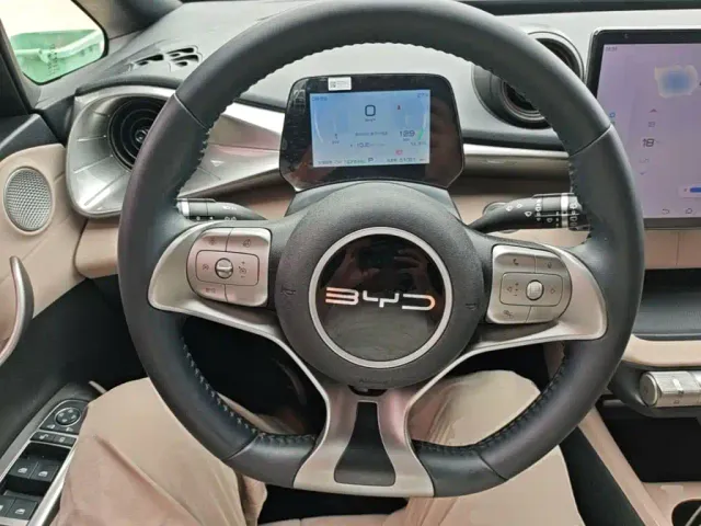 BYD Dolphin — Фото автомобиля 10