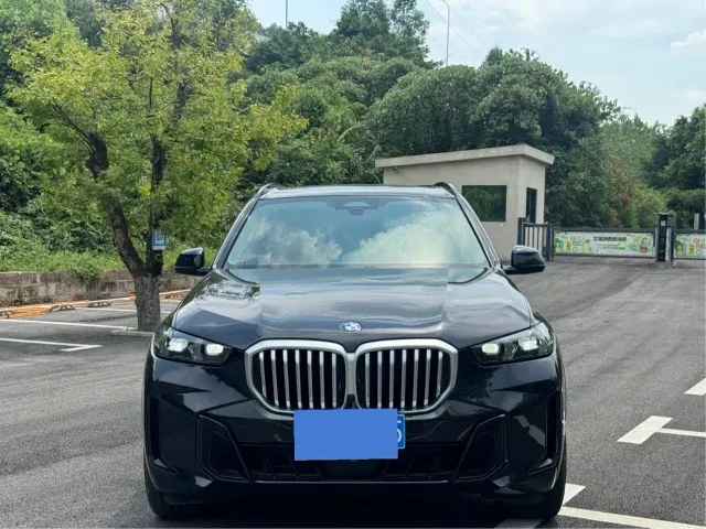 BMW X5 — Фото автомобиля 2