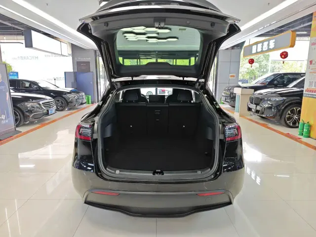 Tesla Model Y — Фото автомобиля 9
