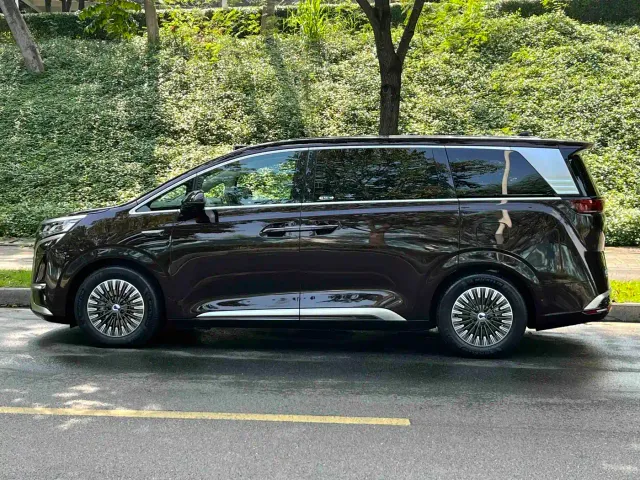 Denza D9 — Фото автомобиля 3