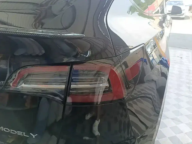 Tesla Model Y — Фото автомобиля 7