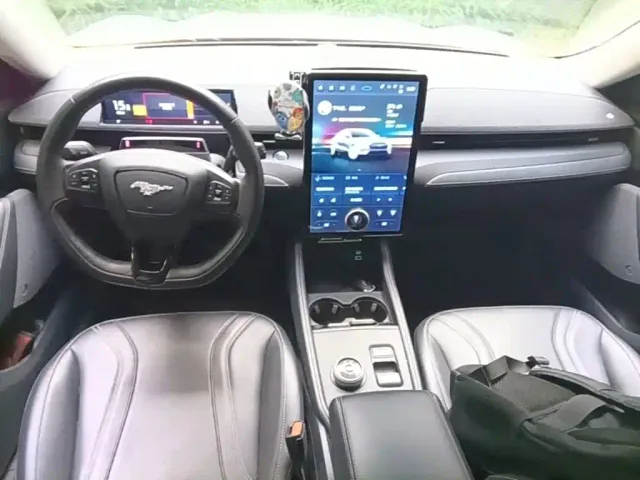Ford Mustang Mach-E — Фото автомобиля 9