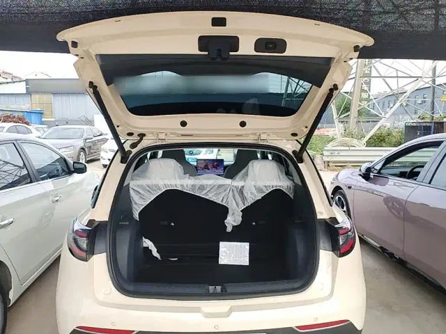 Geely Starry Wish — Фото автомобиля 18
