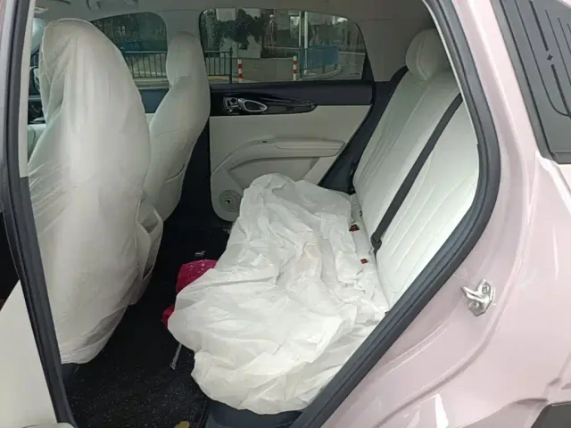 Geely Starry Wish — Фото автомобиля 16