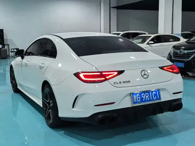 Mercedes-Benz CLS-Class — Фото автомобиля 8