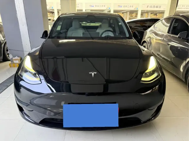 Tesla Model Y — Фото автомобиля 2