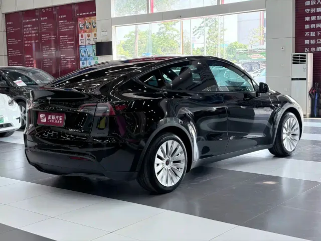 Tesla Model Y — Фото автомобиля 6