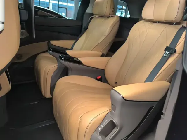 Denza D9 — Фото автомобиля 16