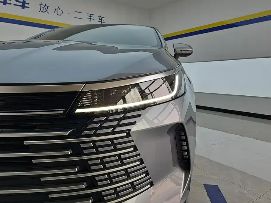 BYD Destroyer 05 2024 Glory Edition DM-i 55KM Luxury — Фото автомобиля 5