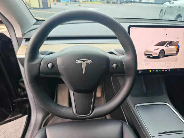 Tesla Model Y — Фото автомобиля 8
