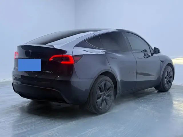 Tesla Model Y — Фото автомобиля 4