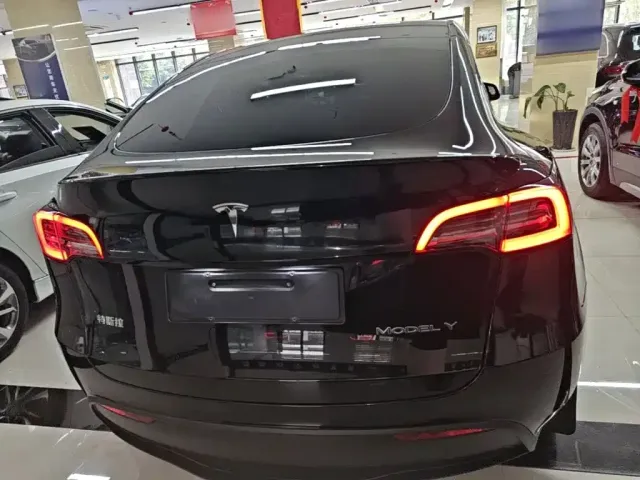 Tesla Model Y — Фото автомобиля 5