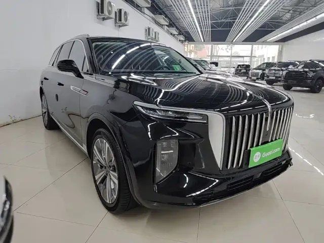 Hongqi E-HS9 — Фото автомобиля 3