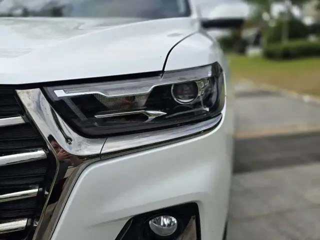 Haval Haval H6 2021 Model National Trend Edition 1.5T Auto Champion — Фото автомобиля 11