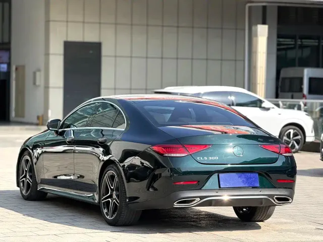 Mercedes-Benz CLS-Class — Фото автомобиля 9