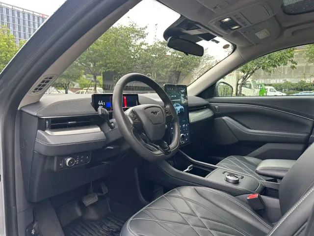 Ford Mustang Mach-E — Фото автомобиля 8
