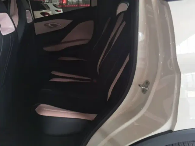 BYD Seagull — Фото автомобиля 16