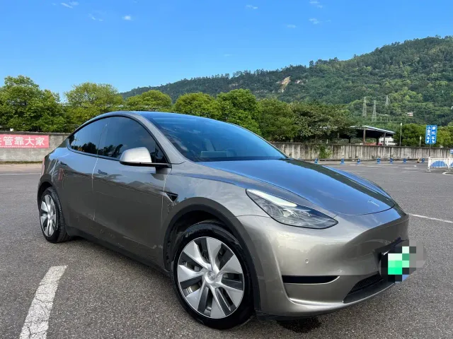 Tesla Model Y — Фото автомобиля 3