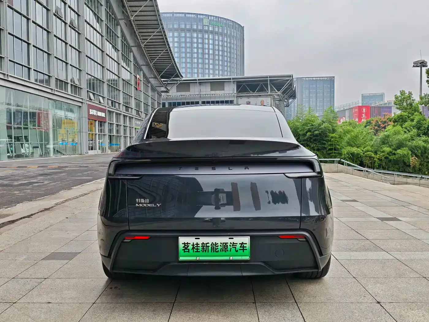 Tesla Model Y 2025 Rear-Wheel Drive — Фото автомобиля 6