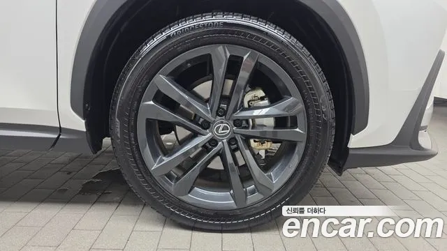 Lexus NX — Фото автомобиля 21
