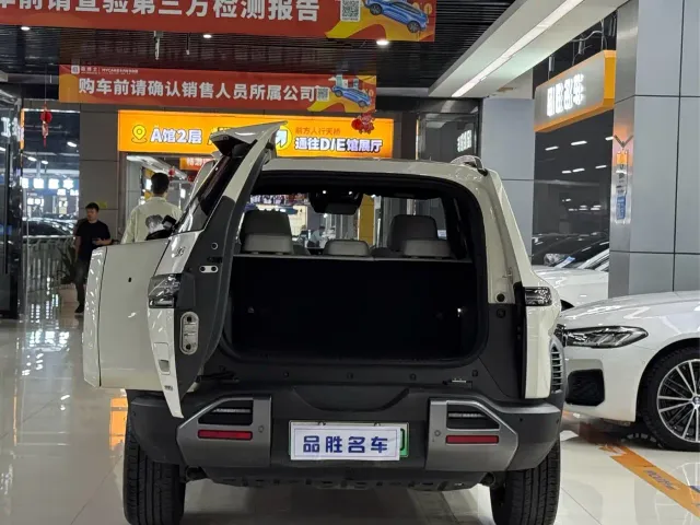 BYD FangChengBao Titanium 3 — Фото автомобиля 6
