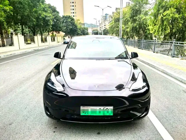 Tesla Model Y — Фото автомобиля 2