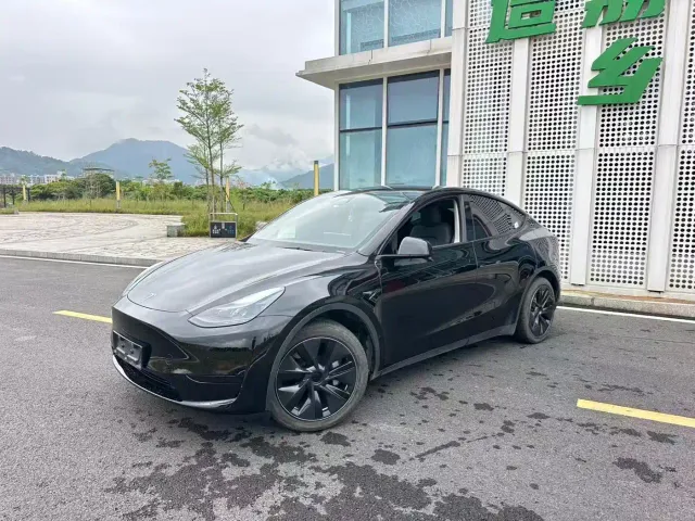 Tesla Model Y — Фото автомобиля 4