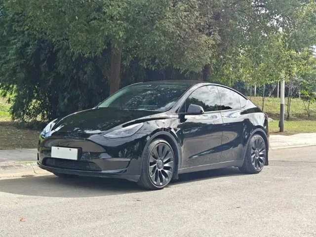 Tesla Model Y — Фото автомобиля 2