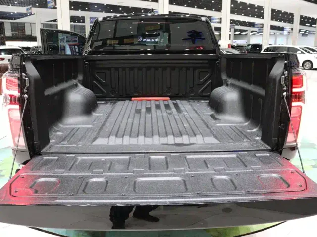 Great Wall Poer EV — Фото автомобиля 18