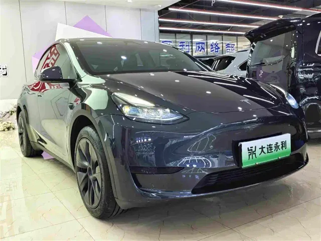 Tesla Model Y — Фото автомобиля 3