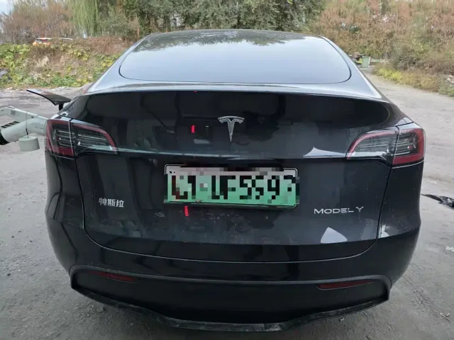 Tesla Model Y — Фото автомобиля 3