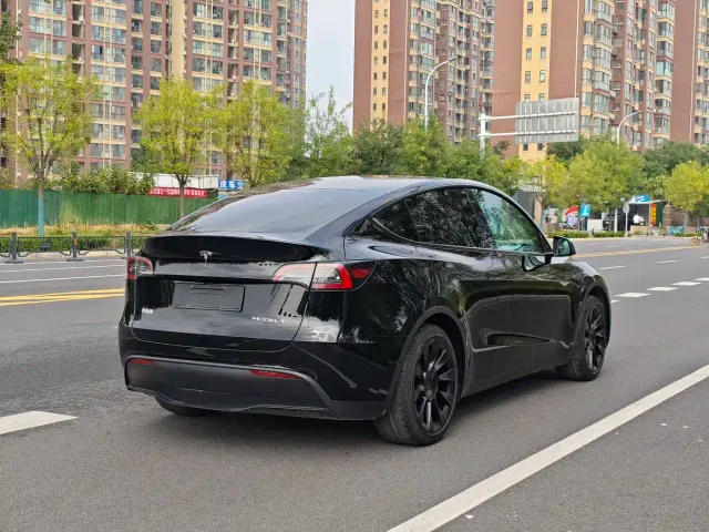 Tesla Model Y — Фото автомобиля 27