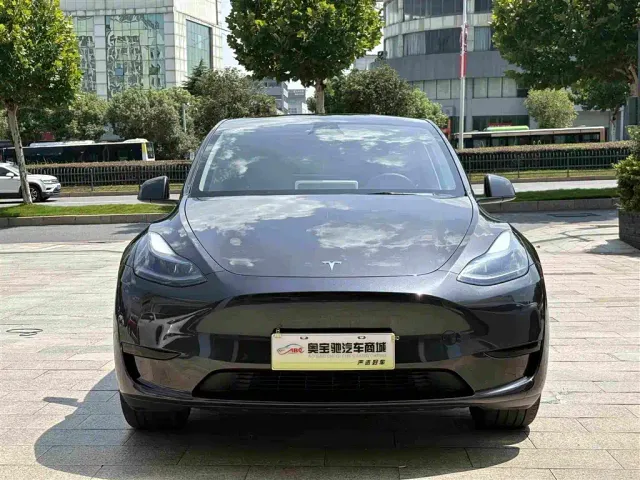 Tesla Model Y — Фото автомобиля 2