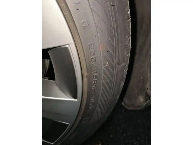 Tesla Model Y 2025 Rear-Wheel Drive — Фото автомобиля 7