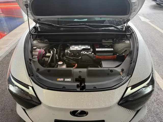 Lexus RZ — Фото автомобиля 4