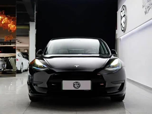 Tesla Model 3 — Фото автомобиля 2